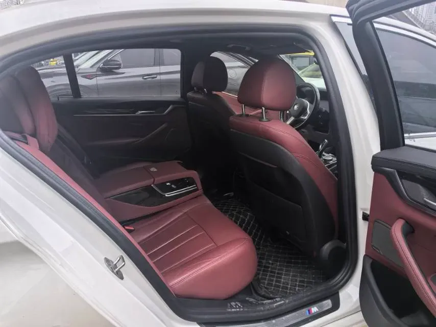 2020 BMW 5 Series 2.0T 252HP L4 8AT,autocango,china used car exporter,china ev exporter,chinese used car exporter,chinese used ev exporter