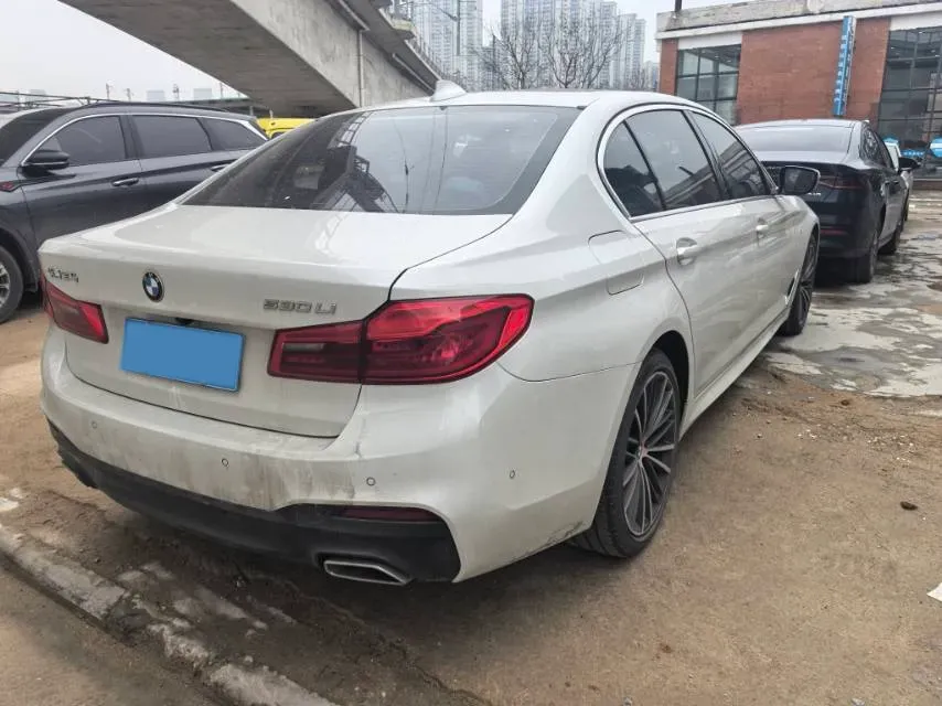 2020 BMW 5 Series 2.0T 252HP L4 8AT,autocango,china used car exporter,china ev exporter,chinese used car exporter,chinese used ev exporter