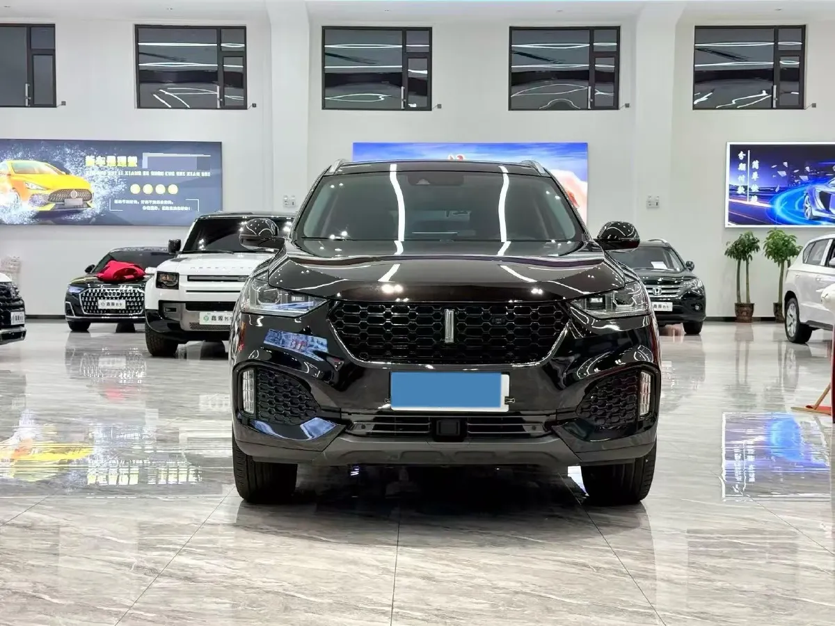 2019 WEY VV6 2.0T 224HP L4 7DCT,autocango,china used car exporter,china ev exporter,chinese used car exporter,chinese used ev exporter