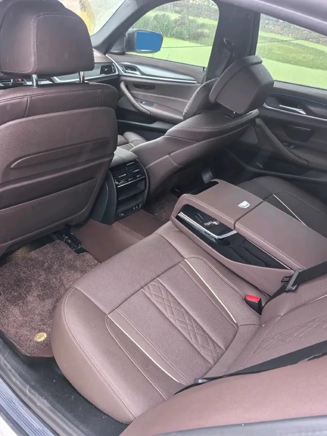 2021 BMW 5 Series 2.0T 184HP L4 8AT PHEV 17.7KWH,autocango,china used car exporter,china ev exporter,chinese used car exporter,chinese used ev exporter