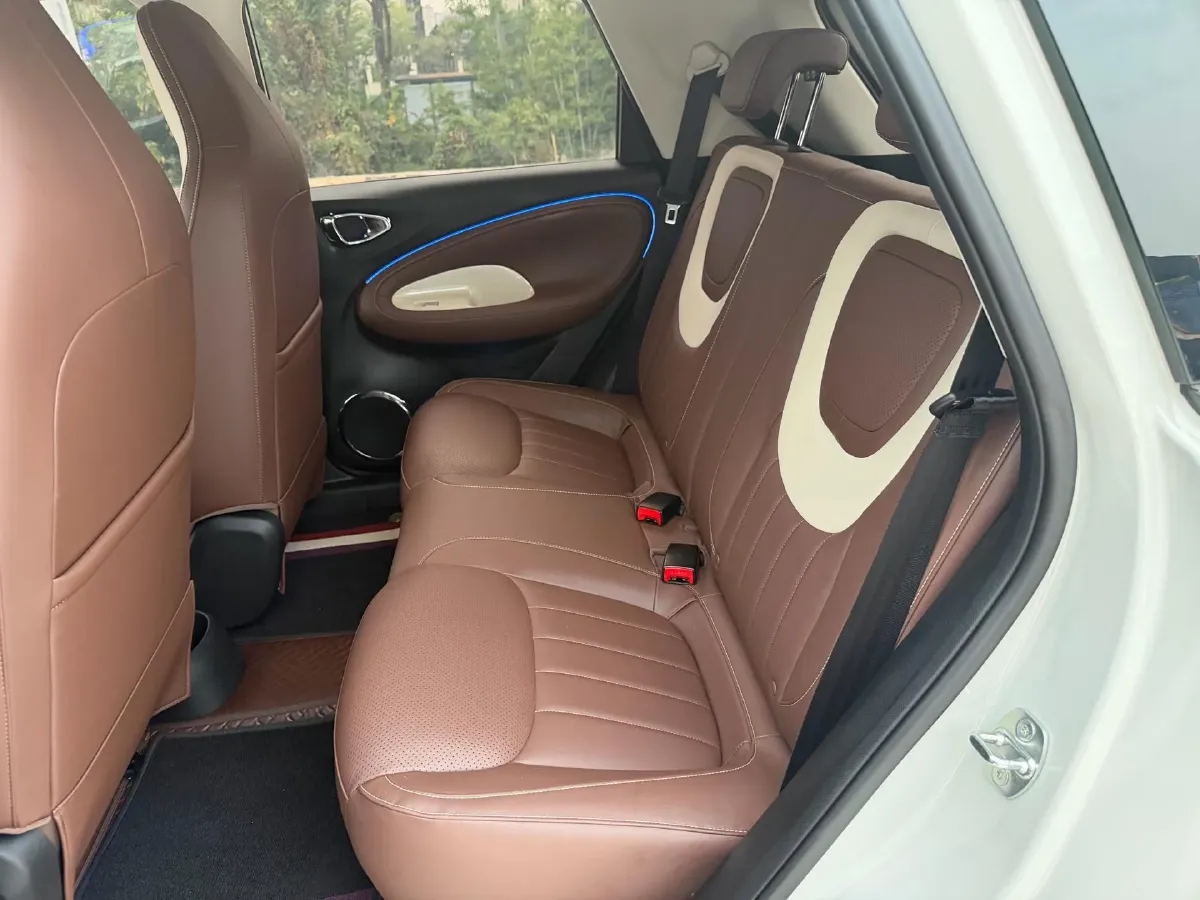 2024 WuLing BinGuo BEV 31.9KWH,autocango,china used car exporter,china ev exporter,chinese used car exporter,chinese used ev exporter