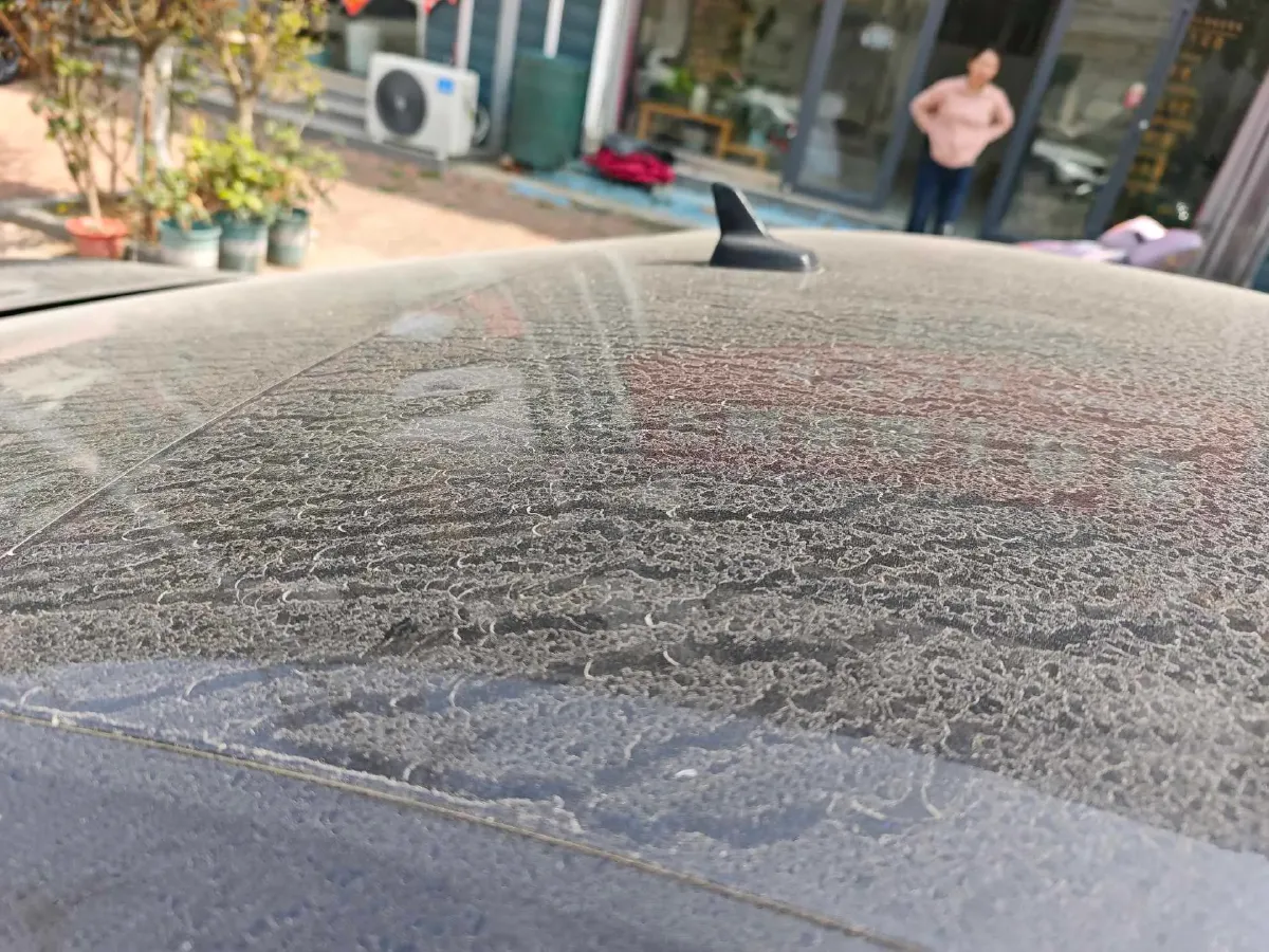 2019 Volkswagen Sagitar 1.2T 116HP L4 7DCT,autocango,china used car exporter,china ev exporter,chinese used car exporter,chinese used ev exporter