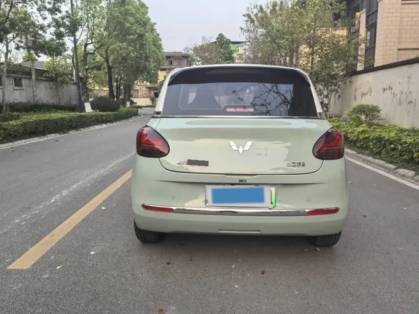2023 WuLing BinGuo BEV 37.9KWH,autocango,china used car exporter,china ev exporter,chinese used car exporter,chinese used ev exporter