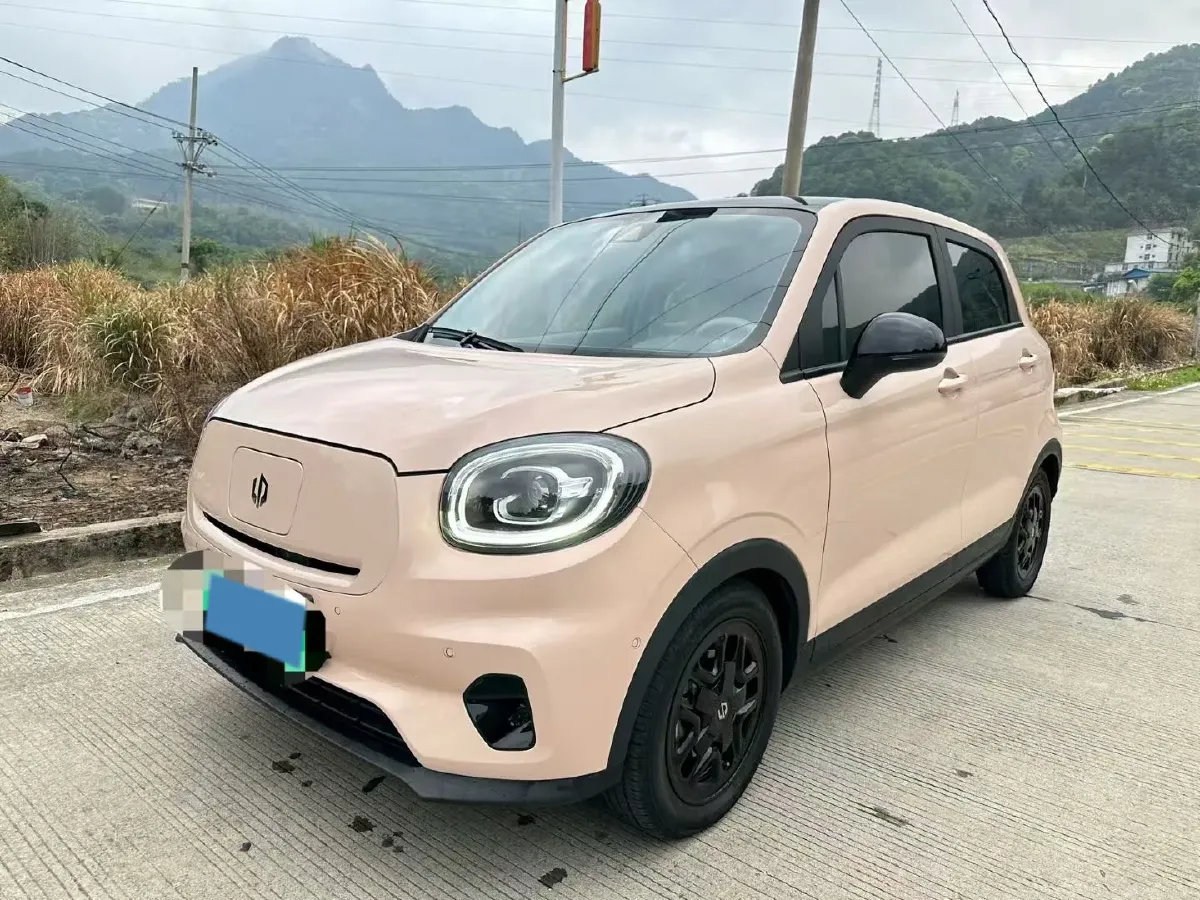 2023 Leapmotor T03 BEV 41.3KWH,autocango,china used car exporter,china ev exporter,chinese used car exporter,chinese used ev exporter