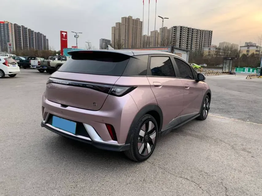 2021 BYD e2 BEV 43.2KWH,autocango,china used car exporter,china ev exporter,chinese used car exporter,chinese used ev exporter