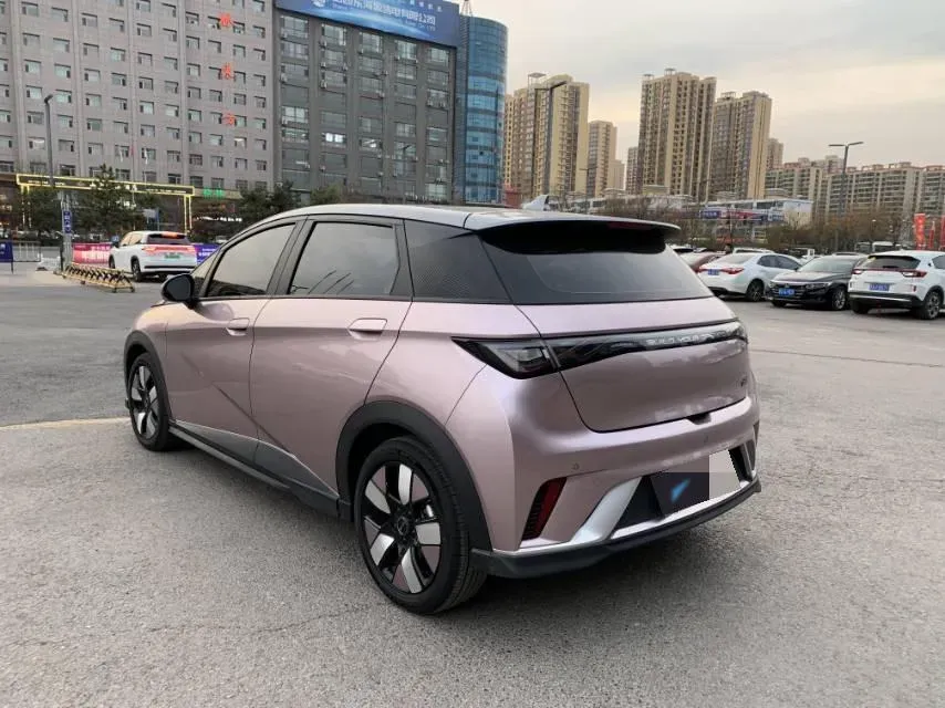 2021 BYD e2 BEV 43.2KWH,autocango,china used car exporter,china ev exporter,chinese used car exporter,chinese used ev exporter