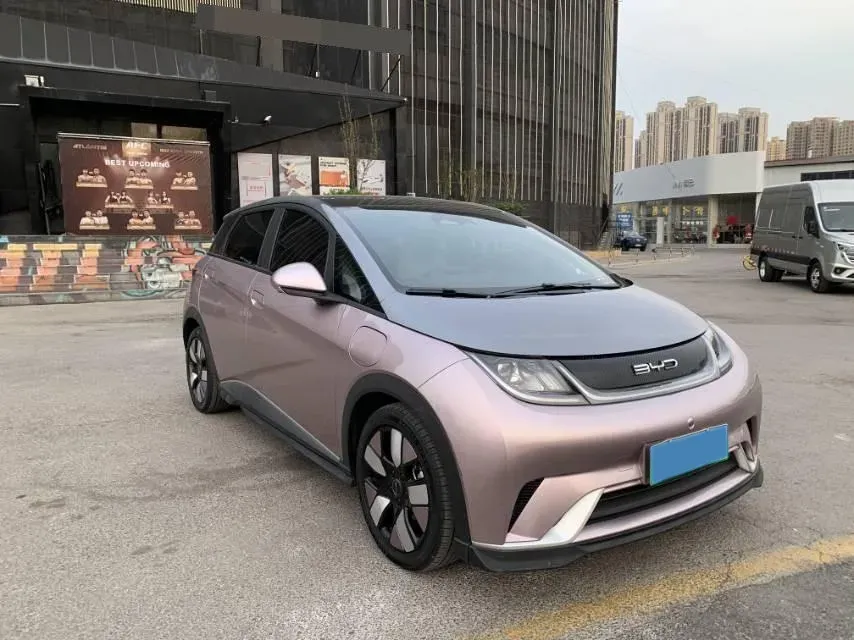2021 BYD e2 BEV 43.2KWH,autocango,china used car exporter,china ev exporter,chinese used car exporter,chinese used ev exporter