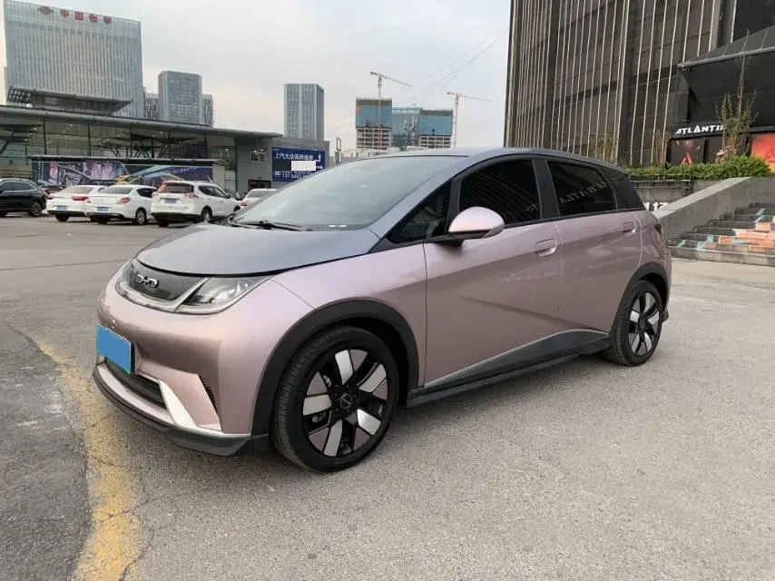 2021 BYD e2 BEV 43.2KWH,autocango,china used car exporter,china ev exporter,chinese used car exporter,chinese used ev exporter