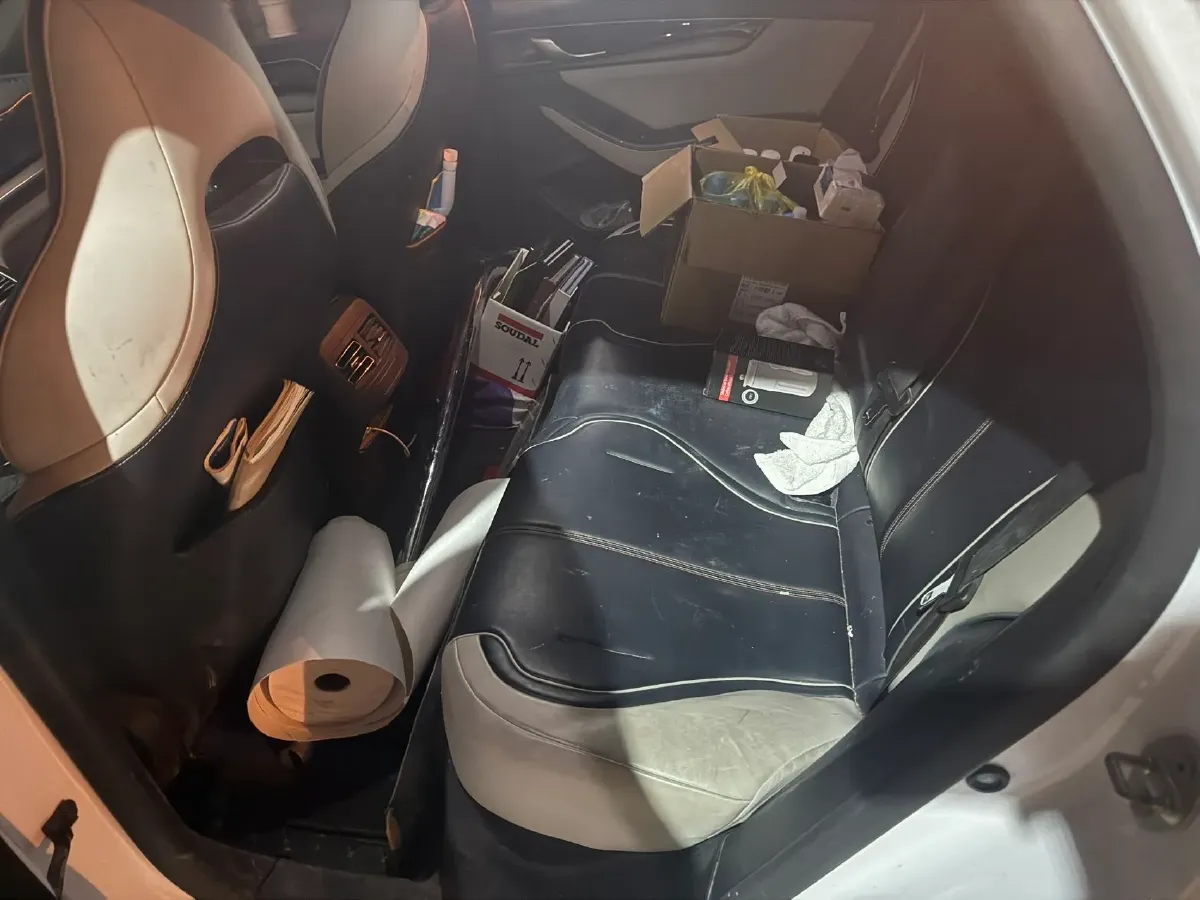 2021 DongFeng FuKang e Elysee BEV 30.7KWH,autocango,china used car exporter,china ev exporter,chinese used car exporter,chinese used ev exporter