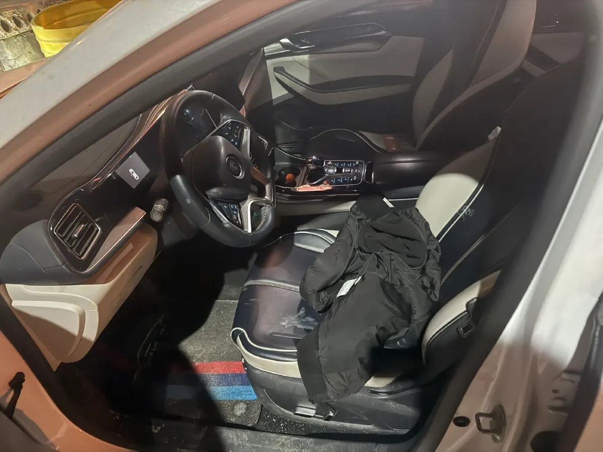 2021 DongFeng FuKang e Elysee BEV 30.7KWH,autocango,china used car exporter,china ev exporter,chinese used car exporter,chinese used ev exporter