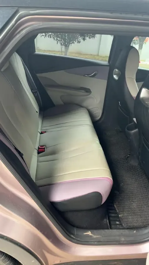 2021 BYD Yuan Pro BEV 50.1KWH,autocango,china used car exporter,china ev exporter,chinese used car exporter,chinese used ev exporter