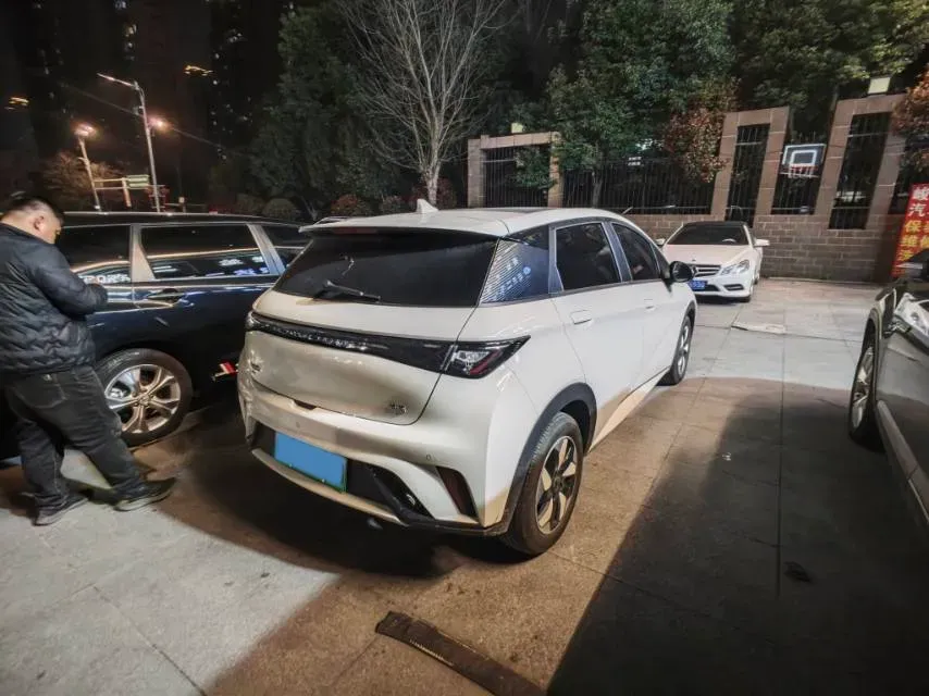 2024 BYD Dolphin BEV 44.928KWH,autocango,china used car exporter,china ev exporter,chinese used car exporter,chinese used ev exporter