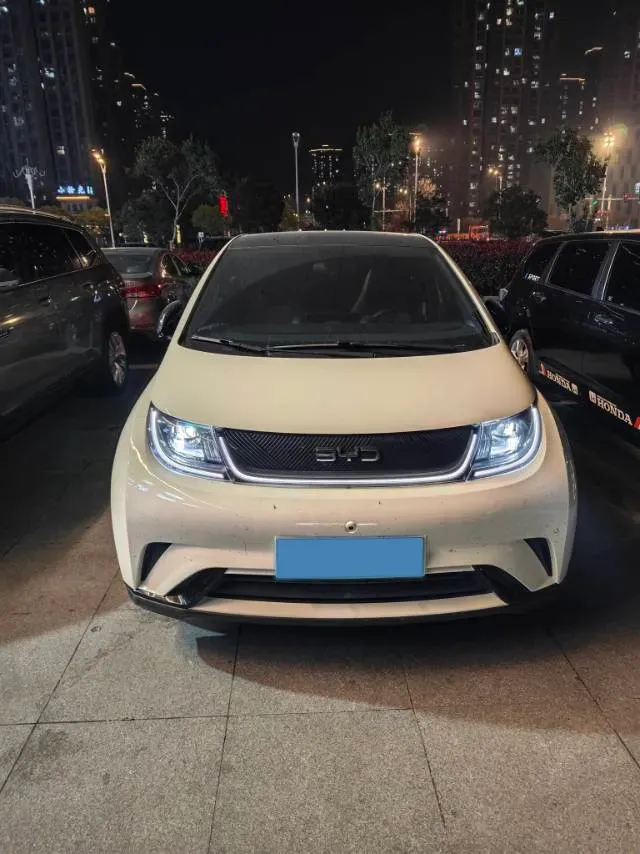 2024 BYD Dolphin BEV 44.928KWH,autocango,china used car exporter,china ev exporter,chinese used car exporter,chinese used ev exporter