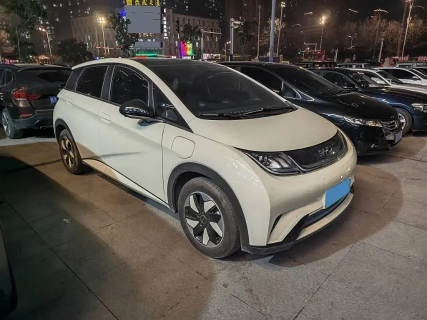 2024 BYD Dolphin BEV 44.928KWH,autocango,china used car exporter,china ev exporter,chinese used car exporter,chinese used ev exporter