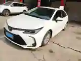 2023 Toyota Corolla 1.2T 116HP L4 CVT