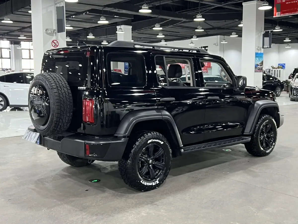 2024 Tank 300 2.0T 227HP L4 8AT,autocango,china used car exporter,china ev exporter,chinese used car exporter,chinese used ev exporter