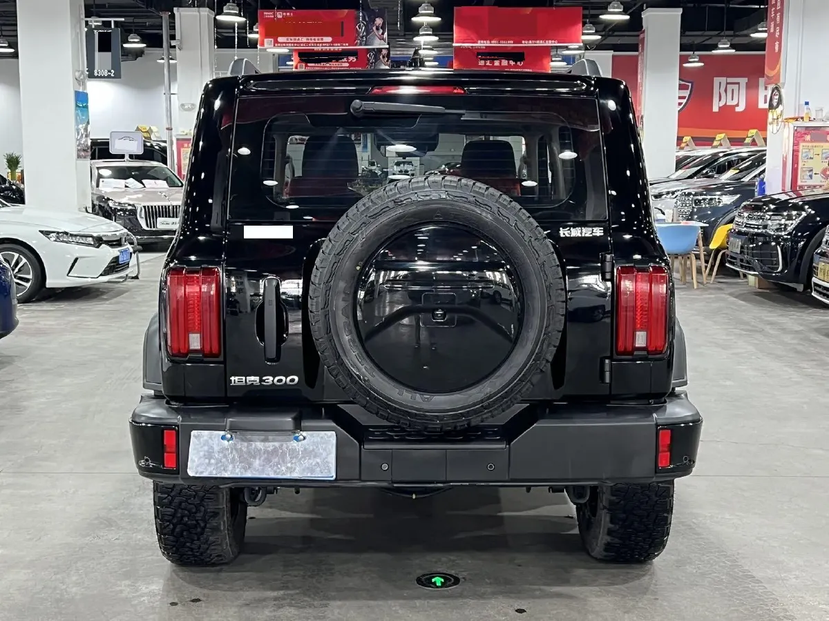 2024 Tank 300 2.0T 227HP L4 8AT,autocango,china used car exporter,china ev exporter,chinese used car exporter,chinese used ev exporter