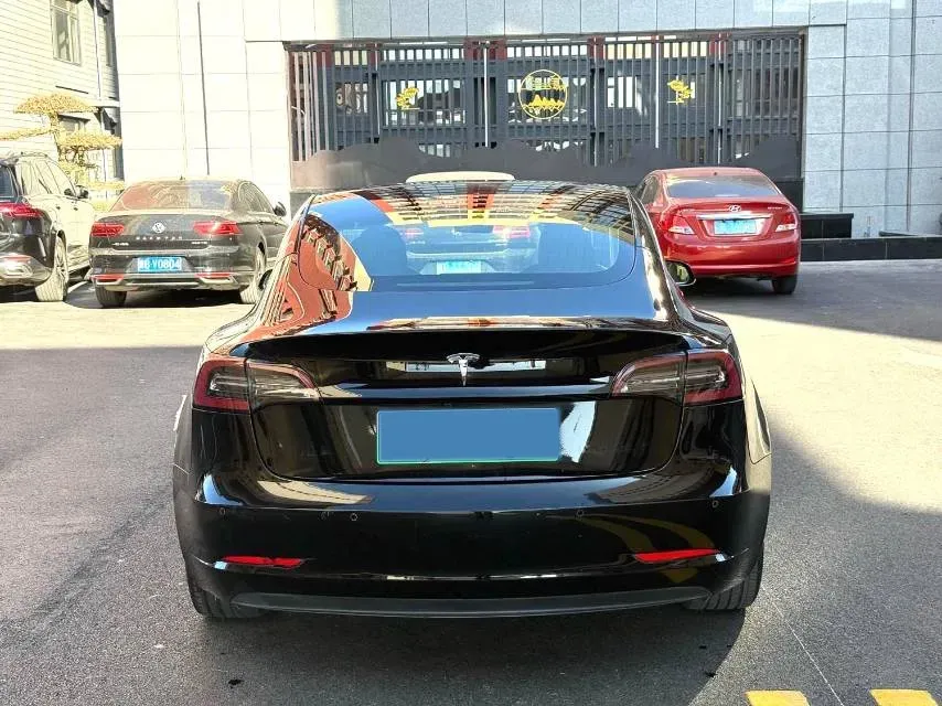 2020 Tesla Model 3 BEV 55KWH,autocango,china used car exporter,china ev exporter,chinese used car exporter,chinese used ev exporter