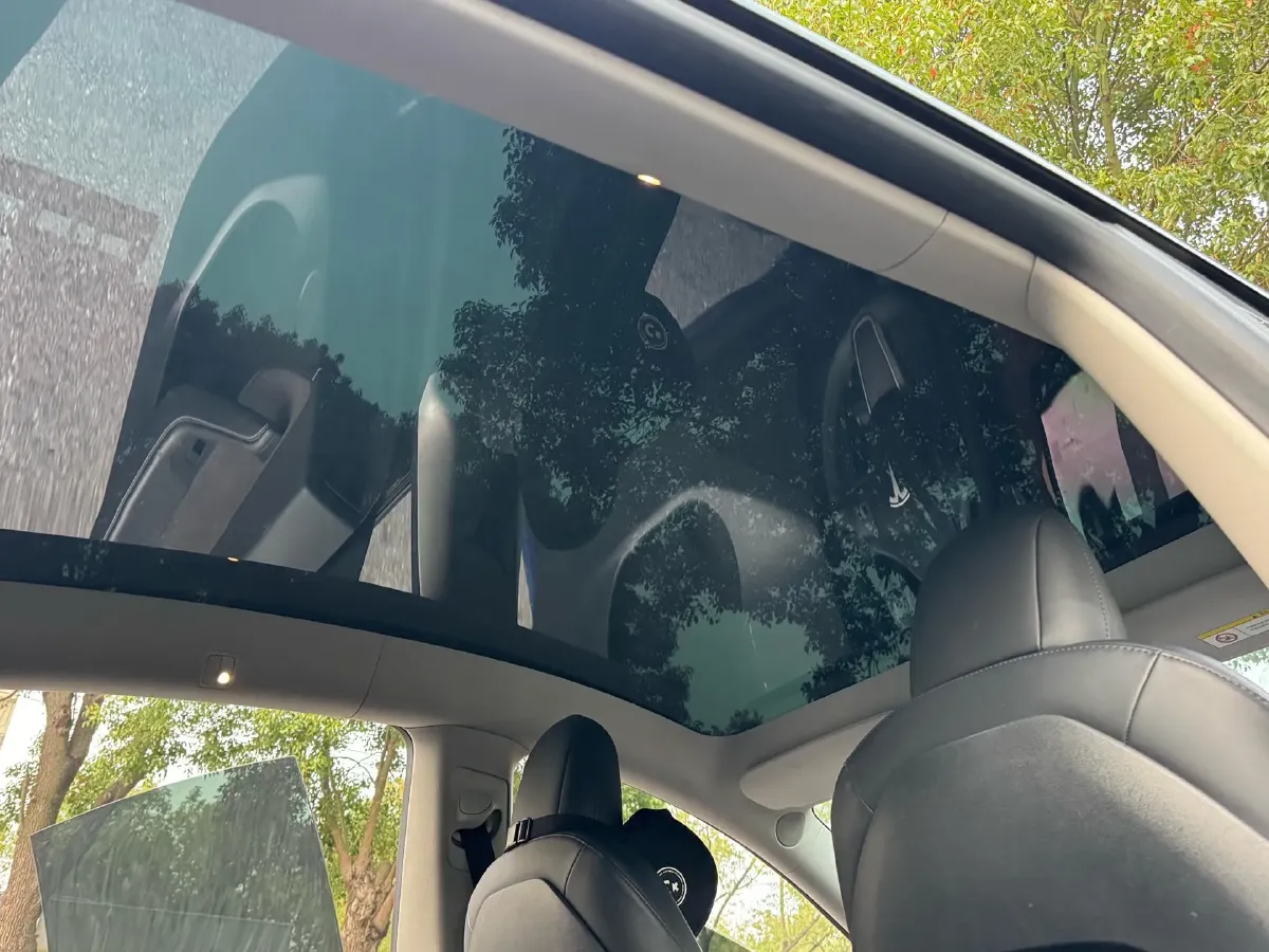 2021 Tesla Model 3 BEV 76.8KWH,autocango,china used car exporter,china ev exporter,chinese used car exporter,chinese used ev exporter