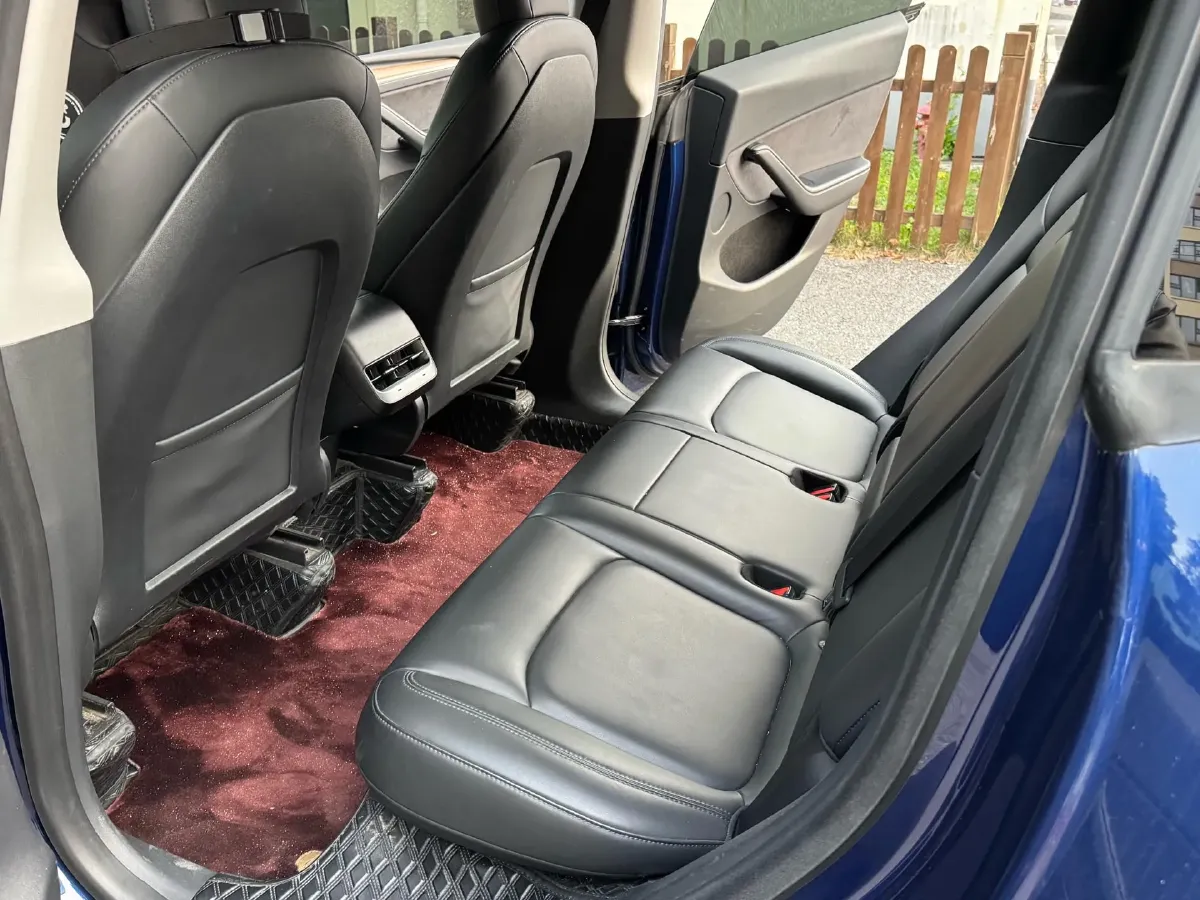 2021 Tesla Model 3 BEV 76.8KWH,autocango,china used car exporter,china ev exporter,chinese used car exporter,chinese used ev exporter