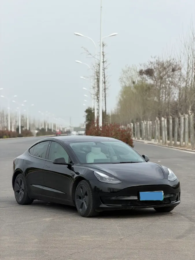 2022 Tesla Model 3 BEV 60KWH,autocango,china used car exporter,china ev exporter,chinese used car exporter,chinese used ev exporter