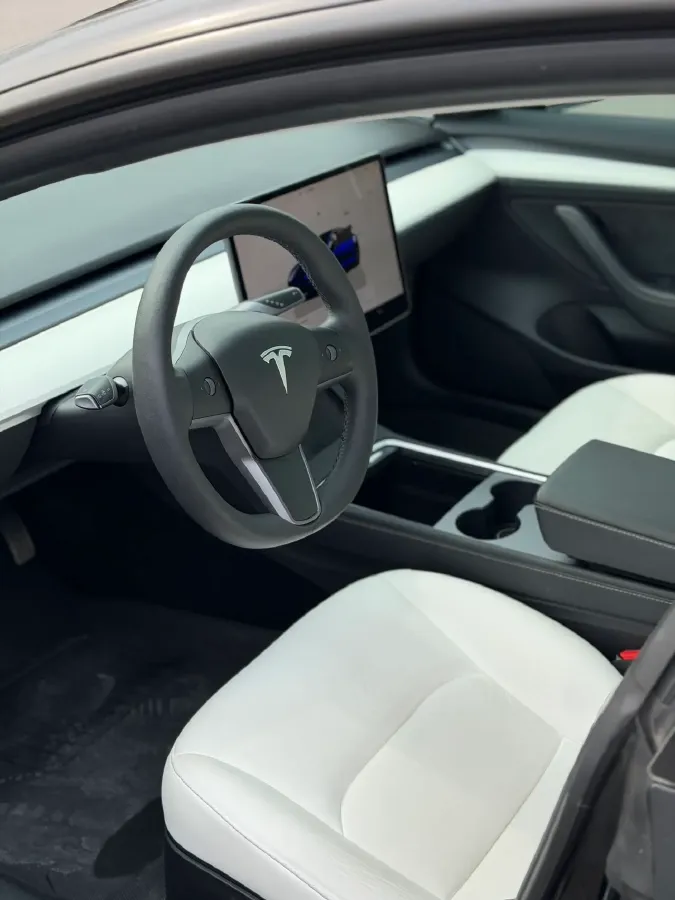 2022 Tesla Model 3 BEV 60KWH,autocango,china used car exporter,china ev exporter,chinese used car exporter,chinese used ev exporter