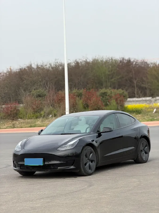2022 Tesla Model 3 BEV 60KWH,autocango,china used car exporter,china ev exporter,chinese used car exporter,chinese used ev exporter