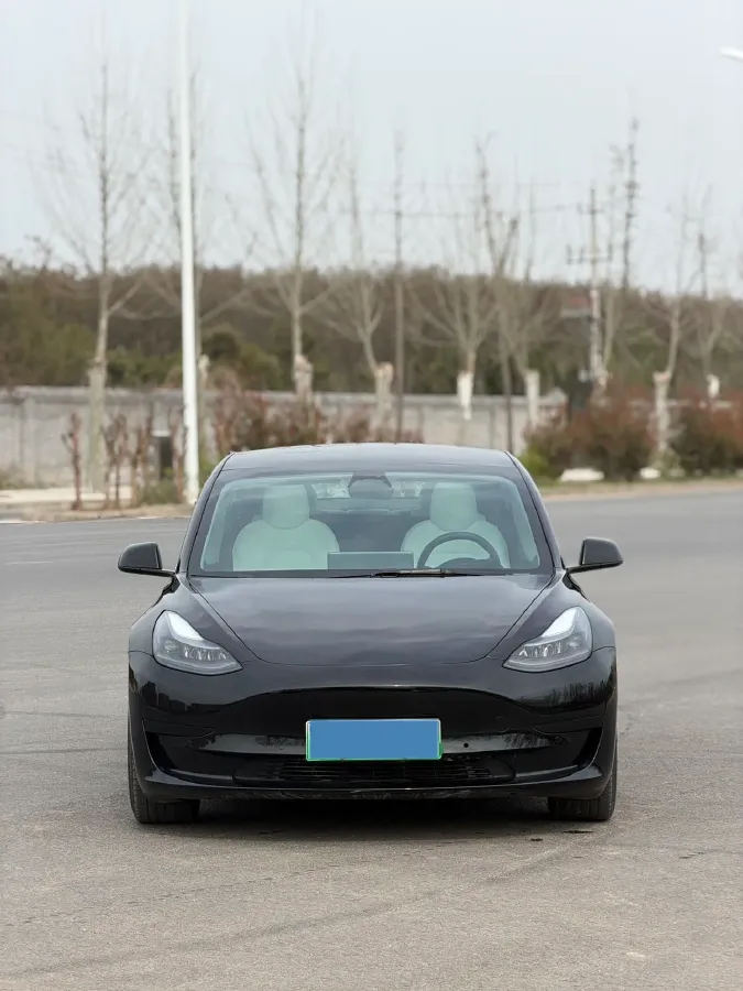 2022 Tesla Model 3 BEV 60KWH,autocango,china used car exporter,china ev exporter,chinese used car exporter,chinese used ev exporter