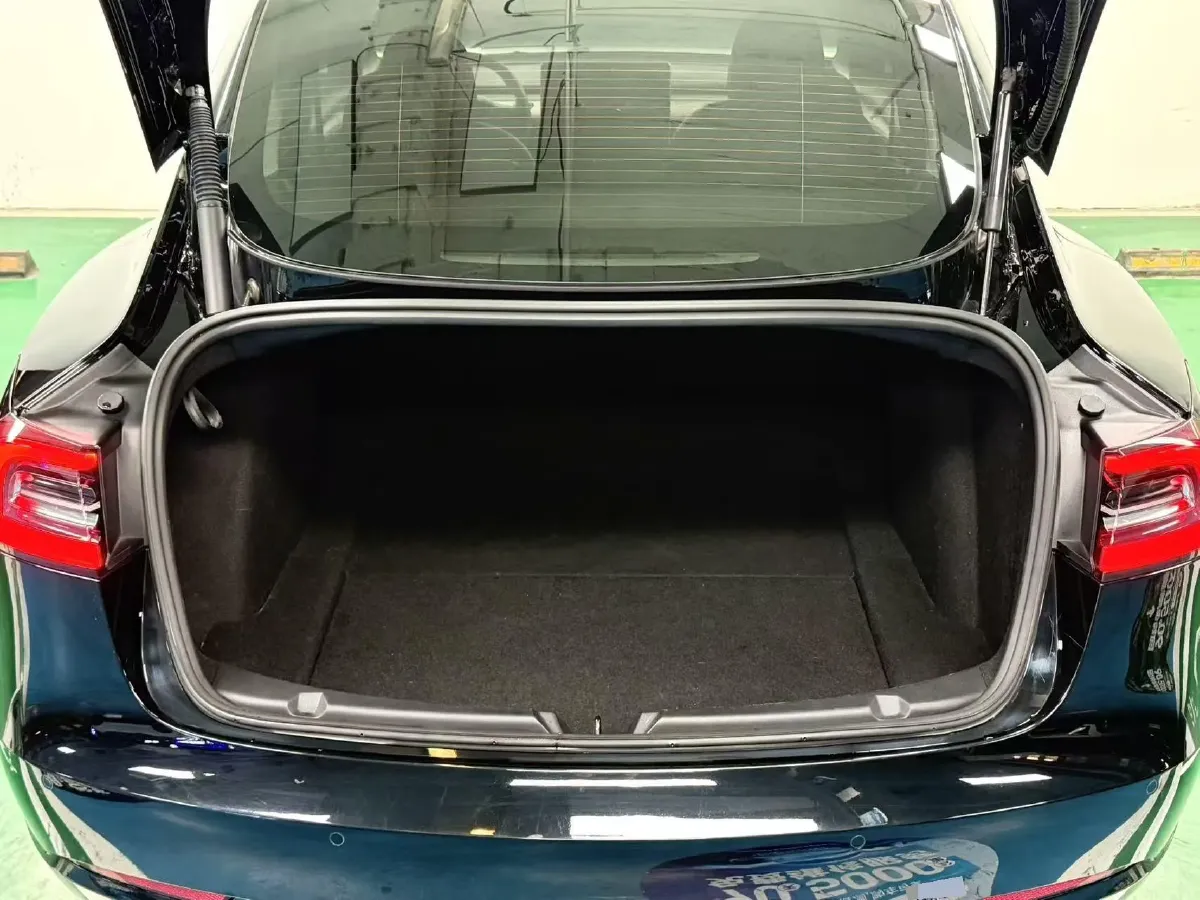 2021 Tesla Model 3 BEV 55KWH,autocango,china used car exporter,china ev exporter,chinese used car exporter,chinese used ev exporter