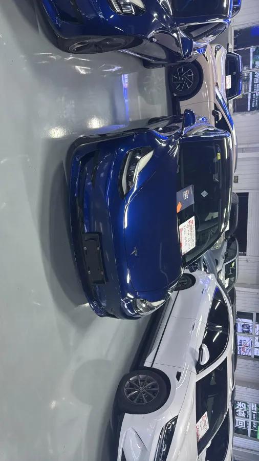 2021 Tesla Model 3 BEV 55KWH,autocango,china used car exporter,china ev exporter,chinese used car exporter,chinese used ev exporter