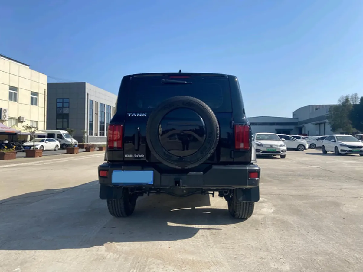 2023 Tank 300 2.0T 227HP L4 8AT,autocango,china used car exporter,china ev exporter,chinese used car exporter,chinese used ev exporter
