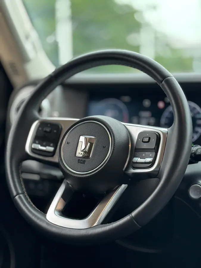 2021 Tank 300 2.0T 227HP L4 8AT,autocango,china used car exporter,china ev exporter,chinese used car exporter,chinese used ev exporter