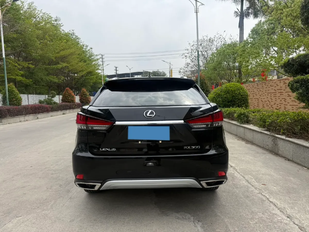 2020 Lexus RX 2.0T 231HP L4 6AT,autocango,china used car exporter,china ev exporter,chinese used car exporter,chinese used ev exporter
