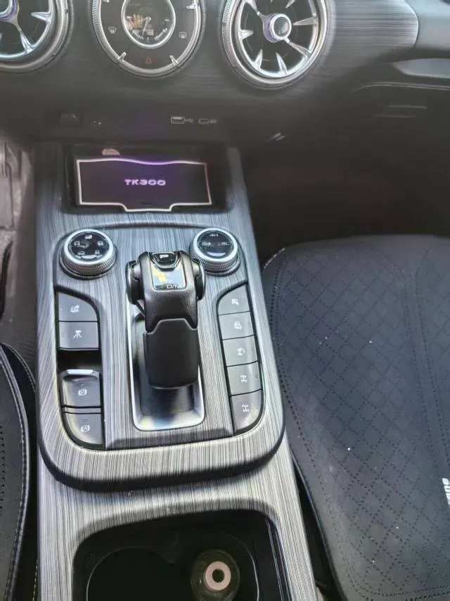 2021 Tank 300 2.0T 227HP L4 8AT,autocango,china used car exporter,china ev exporter,chinese used car exporter,chinese used ev exporter