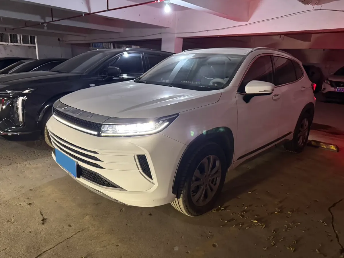 2022 Exceed LX 1.5T 156HP L4 CVT,autocango,china used car exporter,china ev exporter,chinese used car exporter,chinese used ev exporter