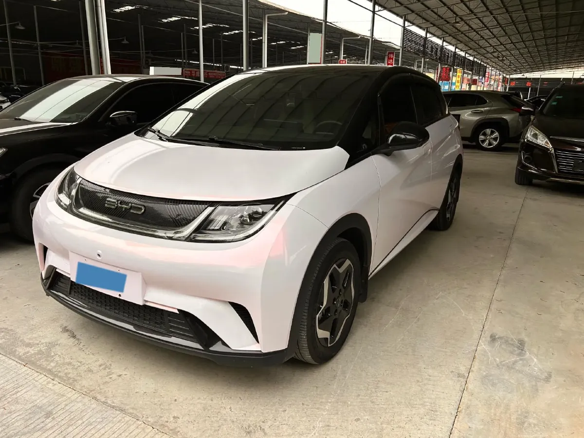 2021 BYD Yuan Pro BEV 50.1KWH,autocango,china used car exporter,china ev exporter,chinese used car exporter,chinese used ev exporter
