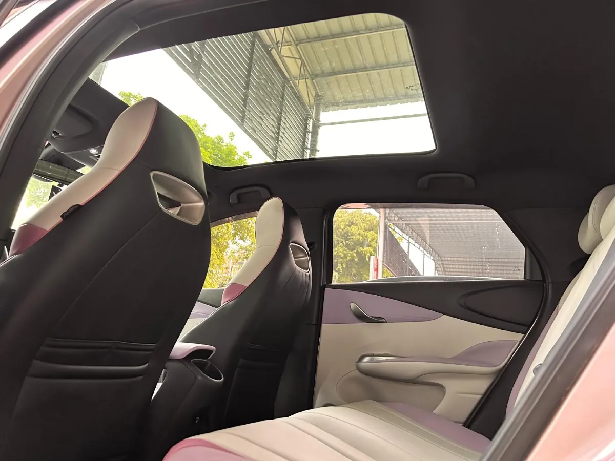 2021 BYD Yuan Pro BEV 50.1KWH,autocango,china used car exporter,china ev exporter,chinese used car exporter,chinese used ev exporter