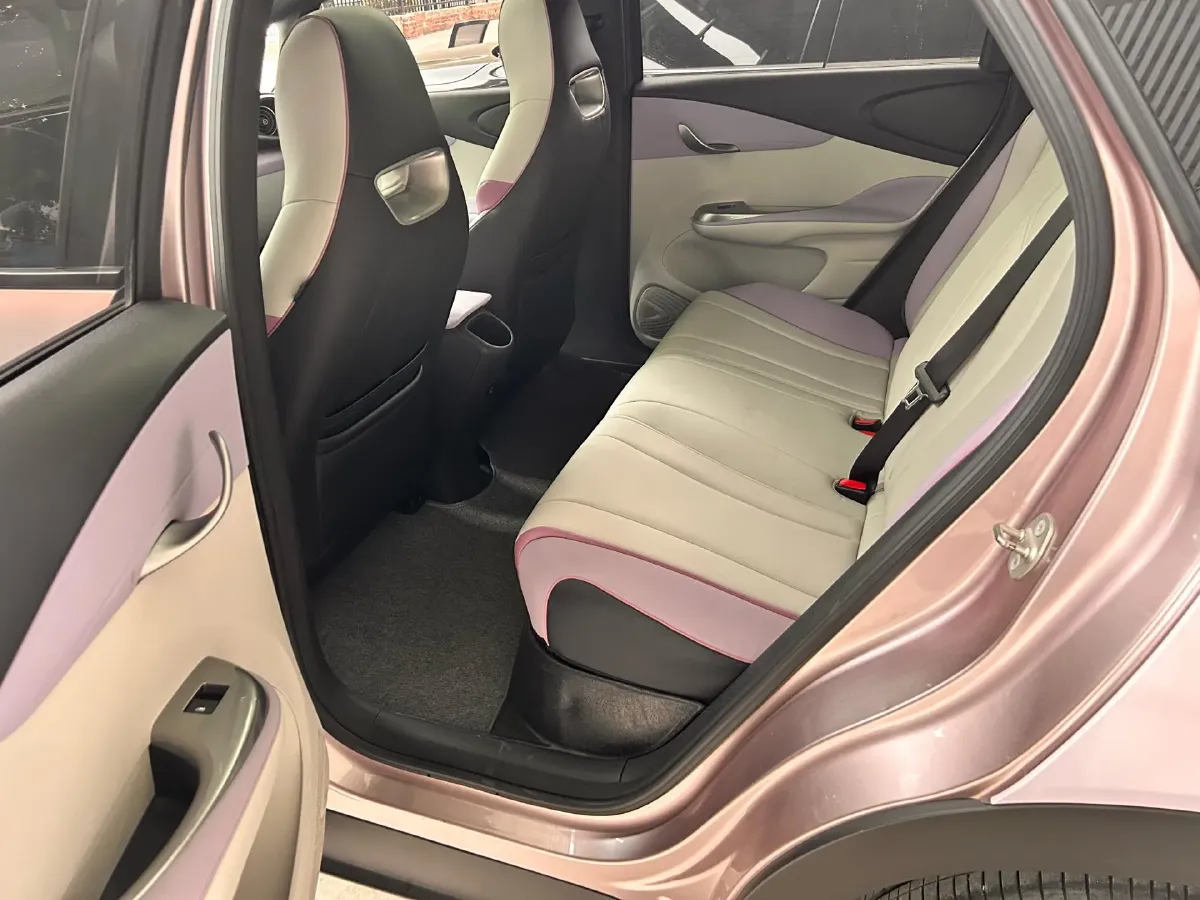 2021 BYD Yuan Pro BEV 50.1KWH,autocango,china used car exporter,china ev exporter,chinese used car exporter,chinese used ev exporter