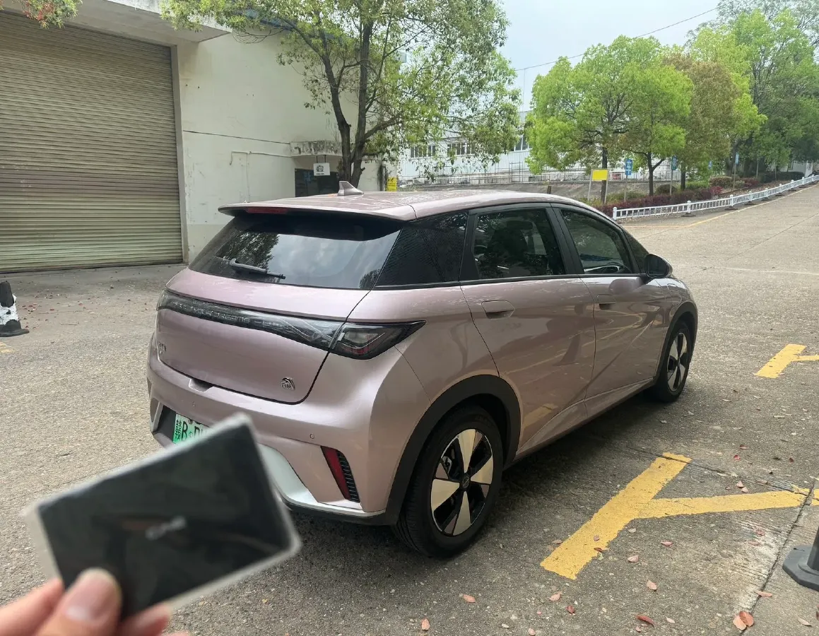 2023 BYD Dolphin BEV 44.928KWH,autocango,china used car exporter,china ev exporter,chinese used car exporter,chinese used ev exporter