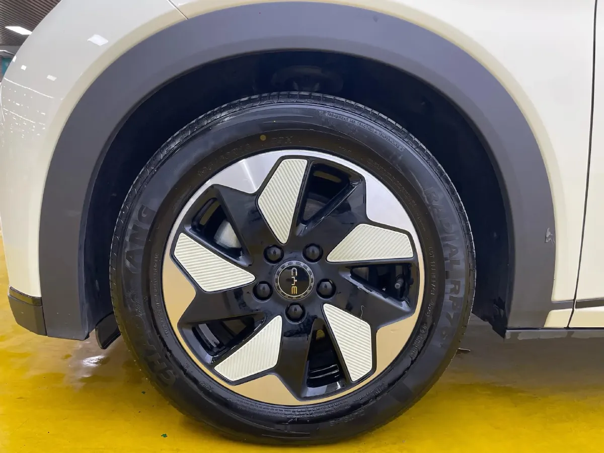 2024 BYD Dolphin BEV 44.928KWH,autocango,china used car exporter,china ev exporter,chinese used car exporter,chinese used ev exporter