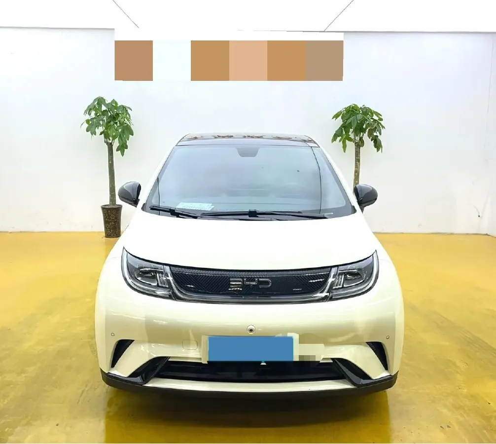 2024 BYD Dolphin BEV 44.928KWH,autocango,china used car exporter,china ev exporter,chinese used car exporter,chinese used ev exporter