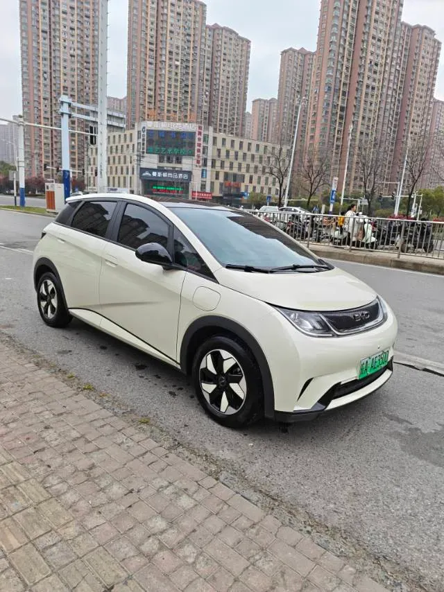 2025 BYD Dolphin BEV 44.928KWH,autocango,china used car exporter,china ev exporter,chinese used car exporter,chinese used ev exporter