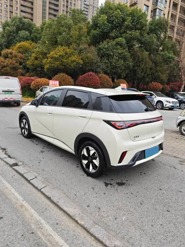 2025 BYD Dolphin BEV 44.928KWH,autocango,china used car exporter,china ev exporter,chinese used car exporter,chinese used ev exporter