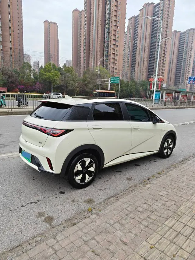 2025 BYD Dolphin BEV 44.928KWH,autocango,china used car exporter,china ev exporter,chinese used car exporter,chinese used ev exporter