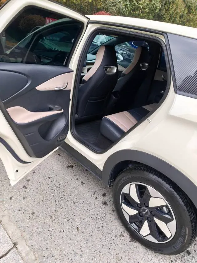 2025 BYD Dolphin BEV 44.928KWH,autocango,china used car exporter,china ev exporter,chinese used car exporter,chinese used ev exporter