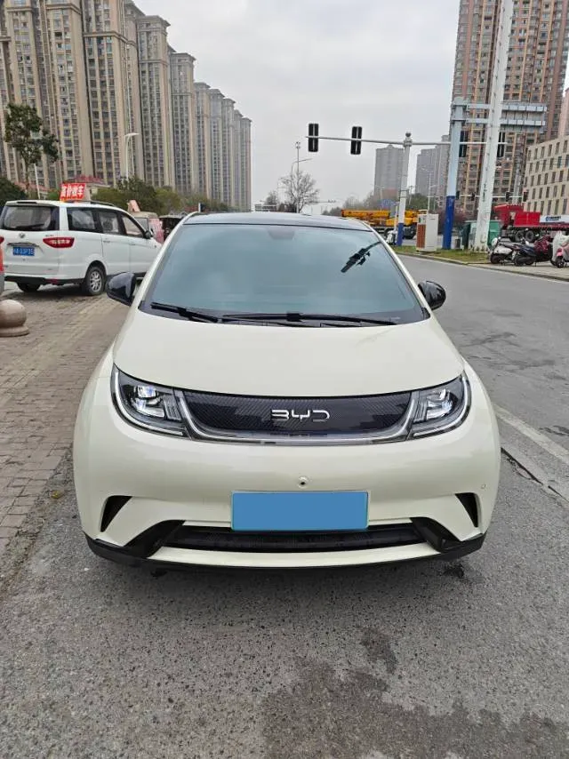 2025 BYD Dolphin BEV 44.928KWH,autocango,china used car exporter,china ev exporter,chinese used car exporter,chinese used ev exporter