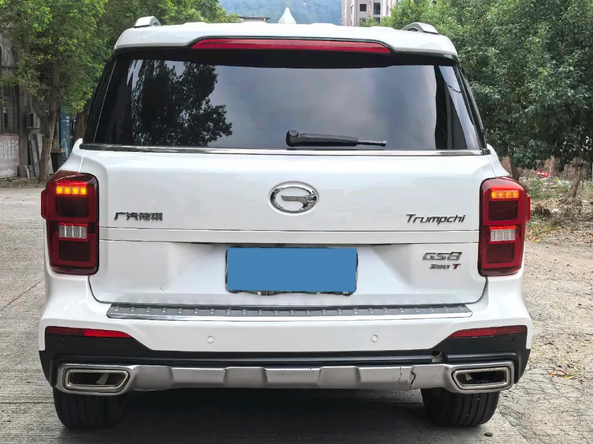 2021 GAC Trumpchi GS8 2.0T 252HP L4 6AT,autocango,china used car exporter,china ev exporter,chinese used car exporter,chinese used ev exporter