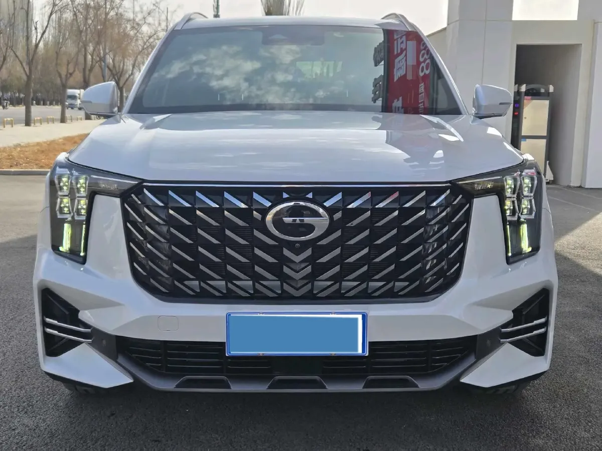 2024 GAC Trumpchi GS8 2.0T 252HP L4 8AT,autocango,china used car exporter,china ev exporter,chinese used car exporter,chinese used ev exporter