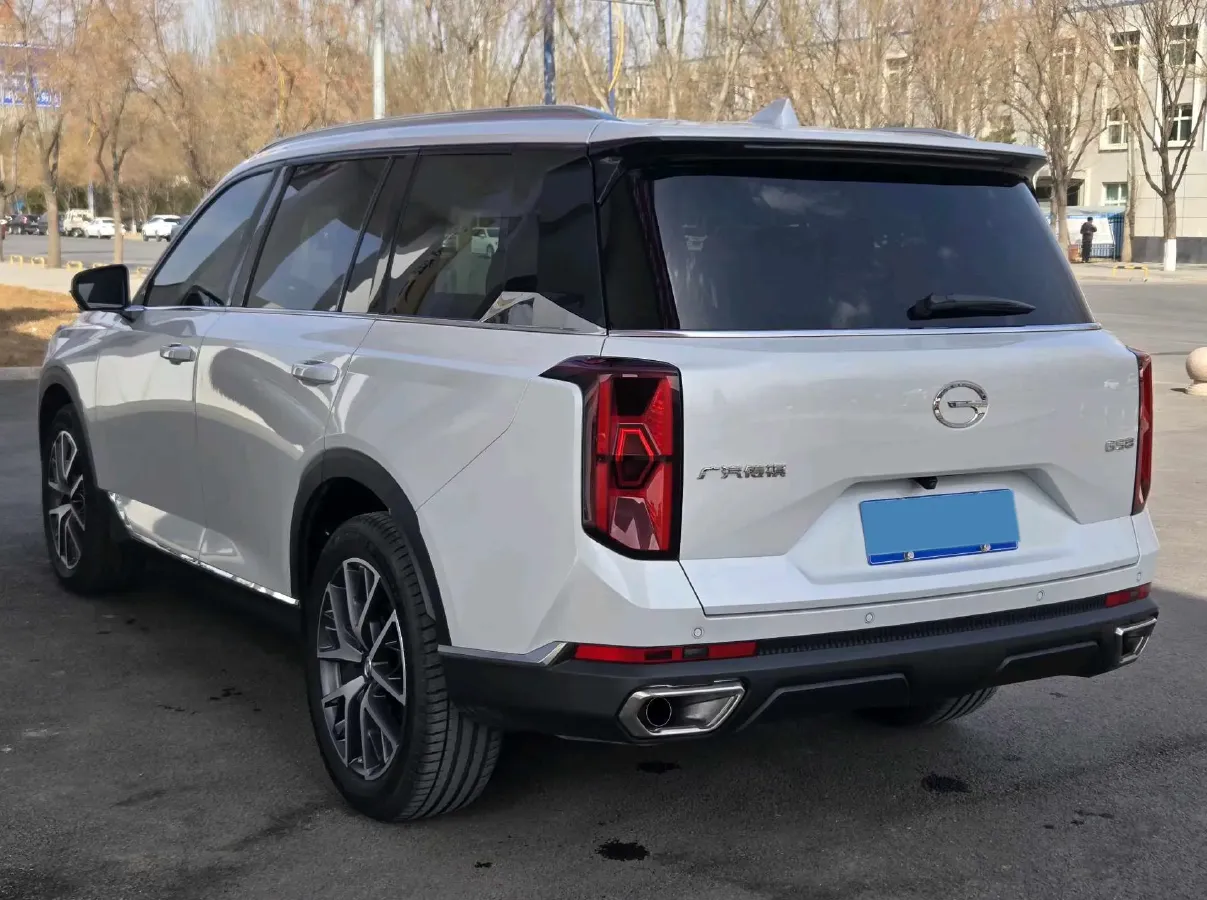 2024 GAC Trumpchi GS8 2.0T 252HP L4 8AT,autocango,china used car exporter,china ev exporter,chinese used car exporter,chinese used ev exporter