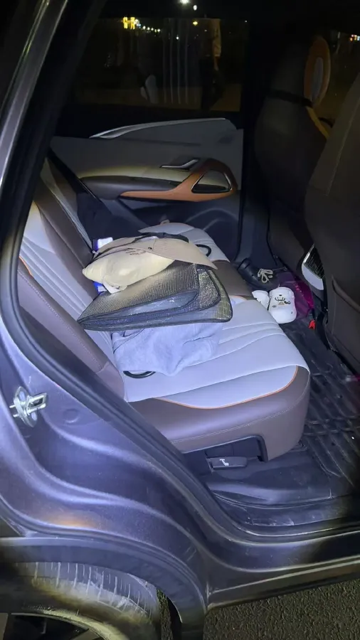 2022 Ruichi Auto EC31 BEV 41.932KWH,autocango,china used car exporter,china ev exporter,chinese used car exporter,chinese used ev exporter